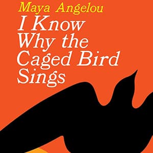 Great Maya Angelou product on Amazon