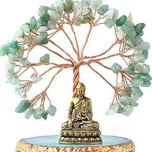 Great Buddha product on Amazon