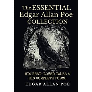 Great Edgar Allan Poe product on Amazon